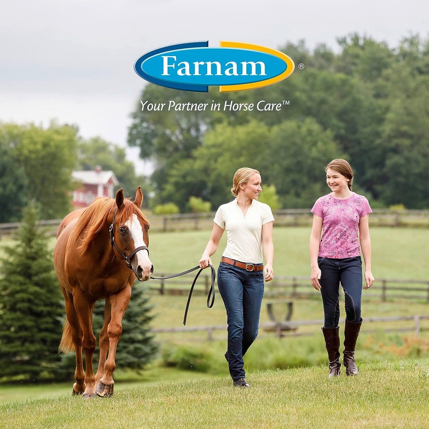 Farnam Equi-Spot Fly Control Horses 3-Pack Waterproof Kills Flies Ticks 6 Weeks