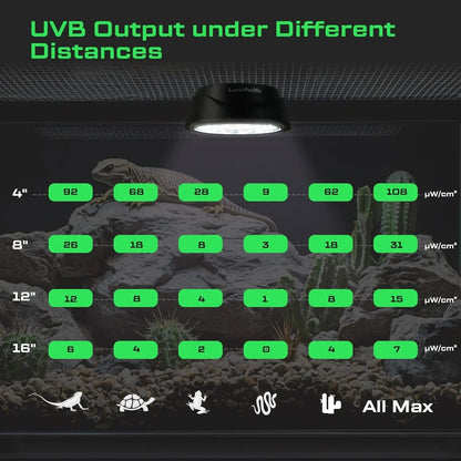 LED Reptile Light w/ Remote – UVA UVB FR Lamp, Timer, Dimmable (Zones 1–4)