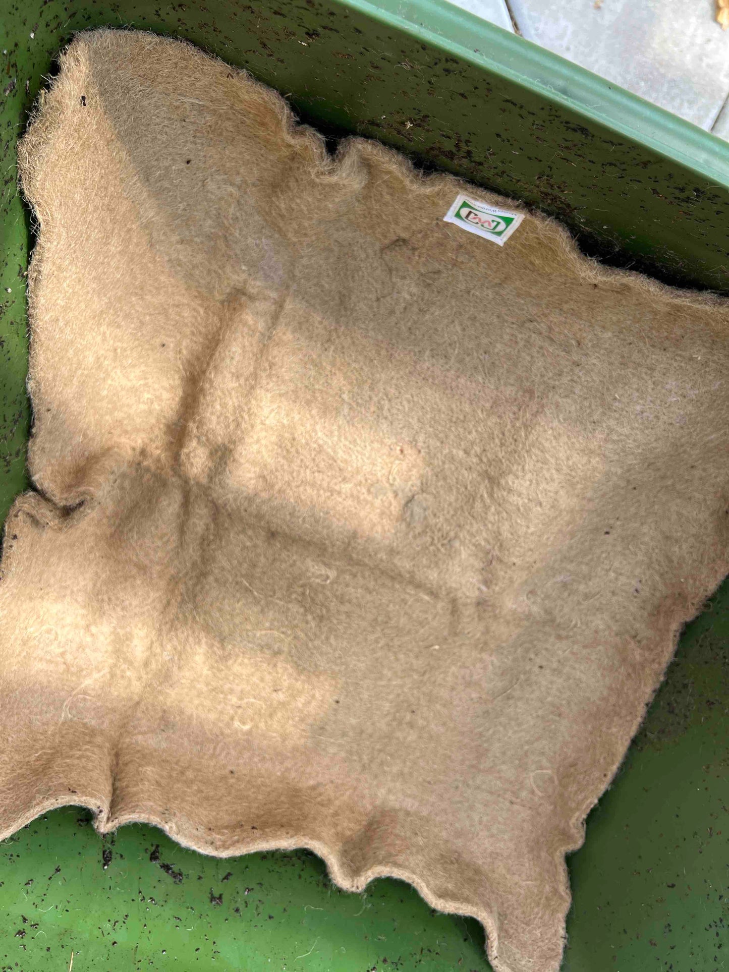 Meme's Worm Blanket