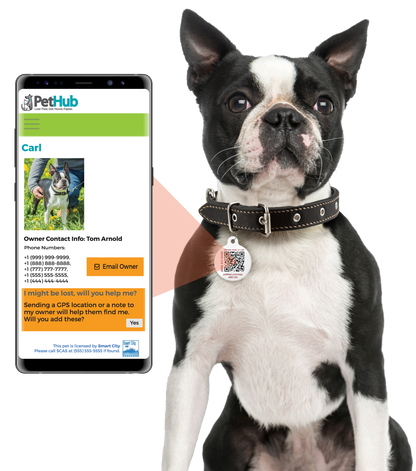 PetHub QR Pet ID Tag – Original Get Me Home Club