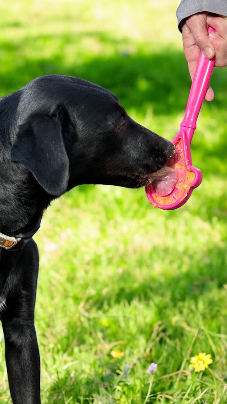 eStick Hand-Held Dog Enrichment Toy - Interactive Lick Stick | USA Made