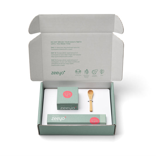 Zeeyo box